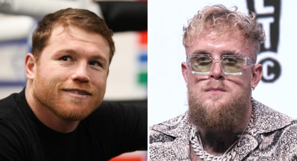 Canelo Alvarez weighs in on Jake Paul vs. Julio Cesar Chavez Jr fight
