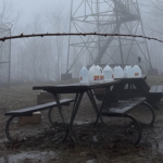 Barkley Marathons Field Thins Rapidly, Only Three Runners Reach Third Loop